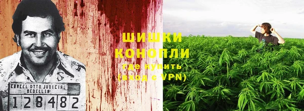 a pvp Аркадак
